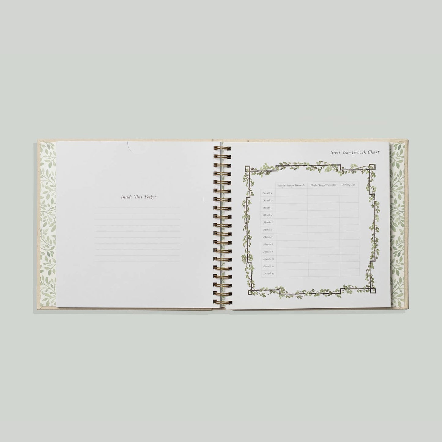 As You Grow : A Modern Memory Baby Book