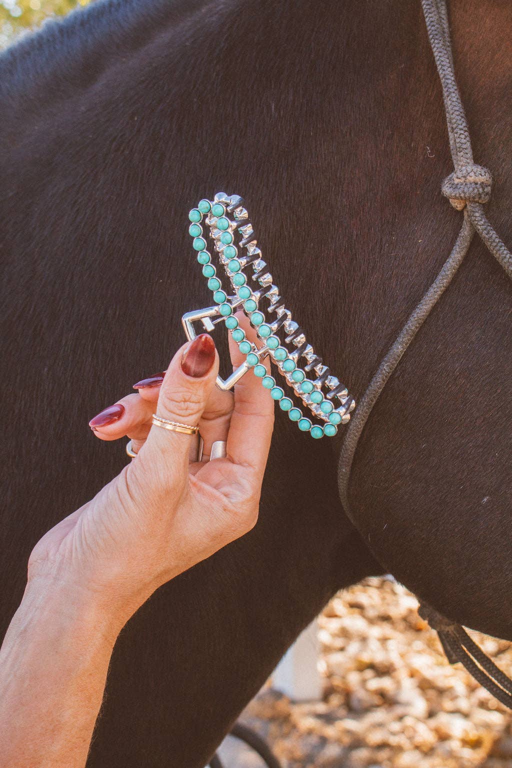 Silver Claw Clip