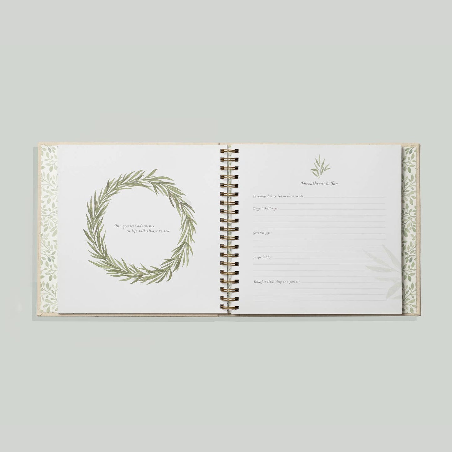 As You Grow : A Modern Memory Baby Book