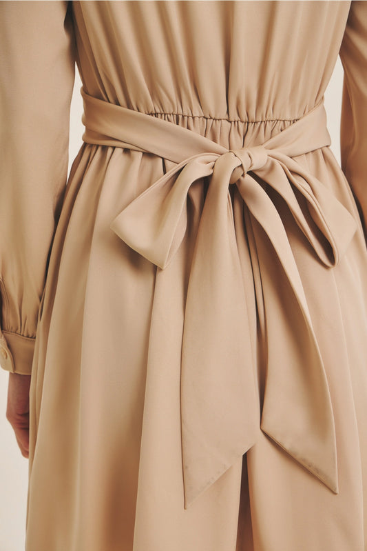 Waist Wrap Tie Mini Dress