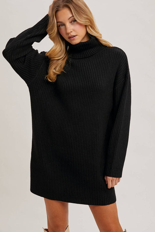 Turtle Neck Sweater Dress