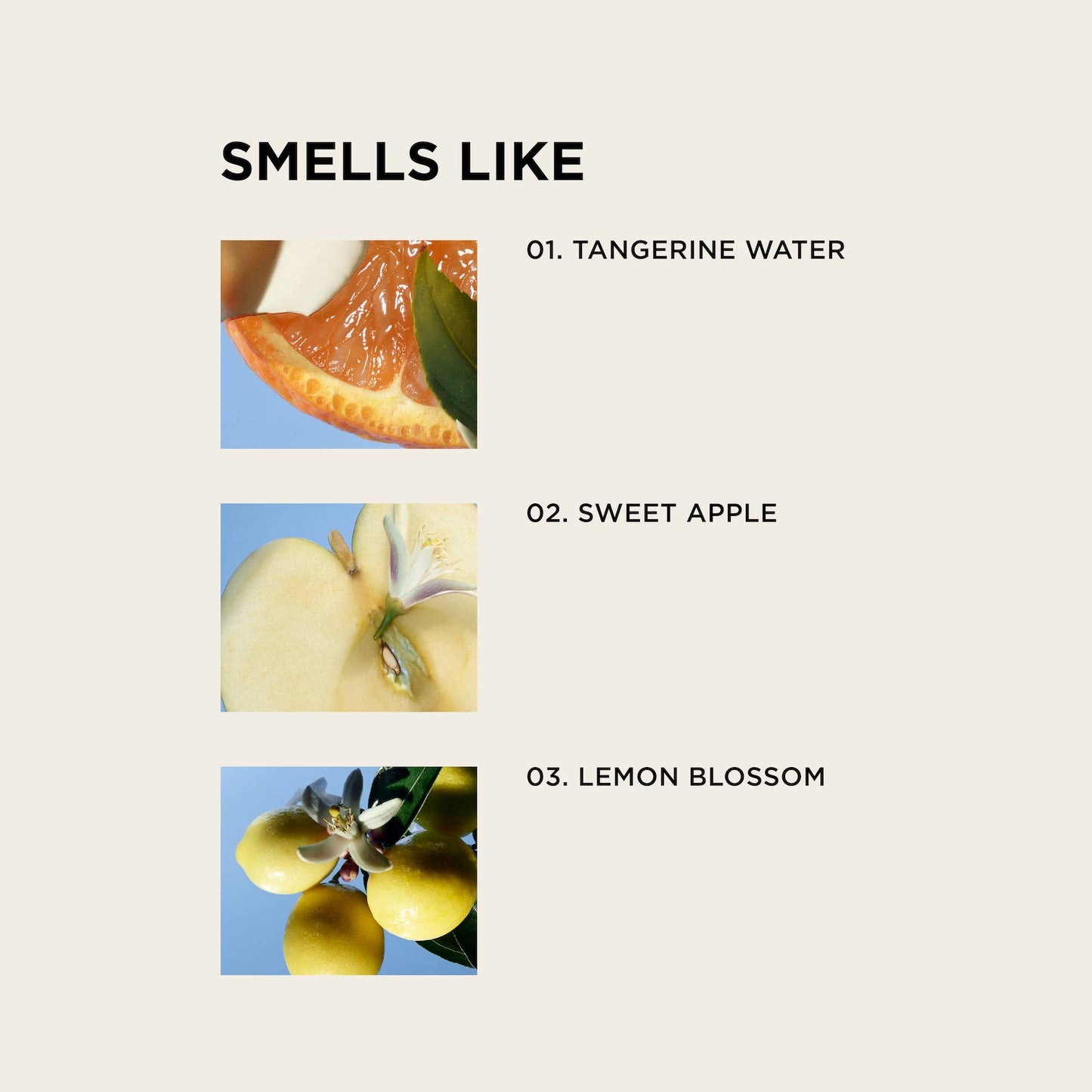 Birthday Suit Perfume Mist