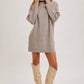 Turtle Neck Sweater Dress