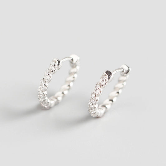Silver Paved Earrings