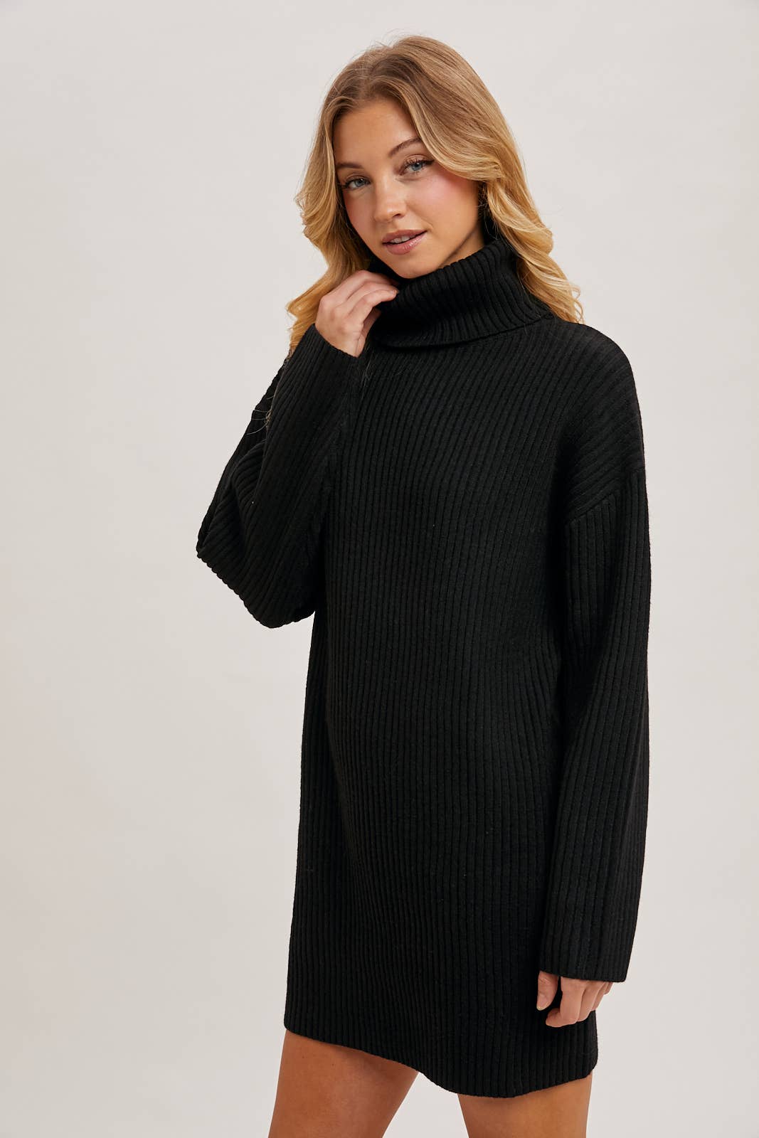 Turtle Neck Sweater Dress