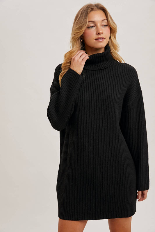 Turtle Neck Sweater Dress