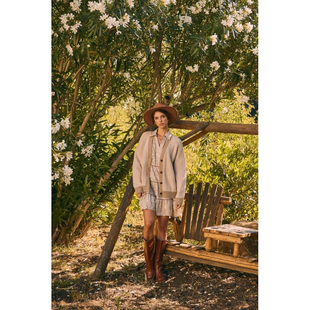 Romantic Toile Mini Dress