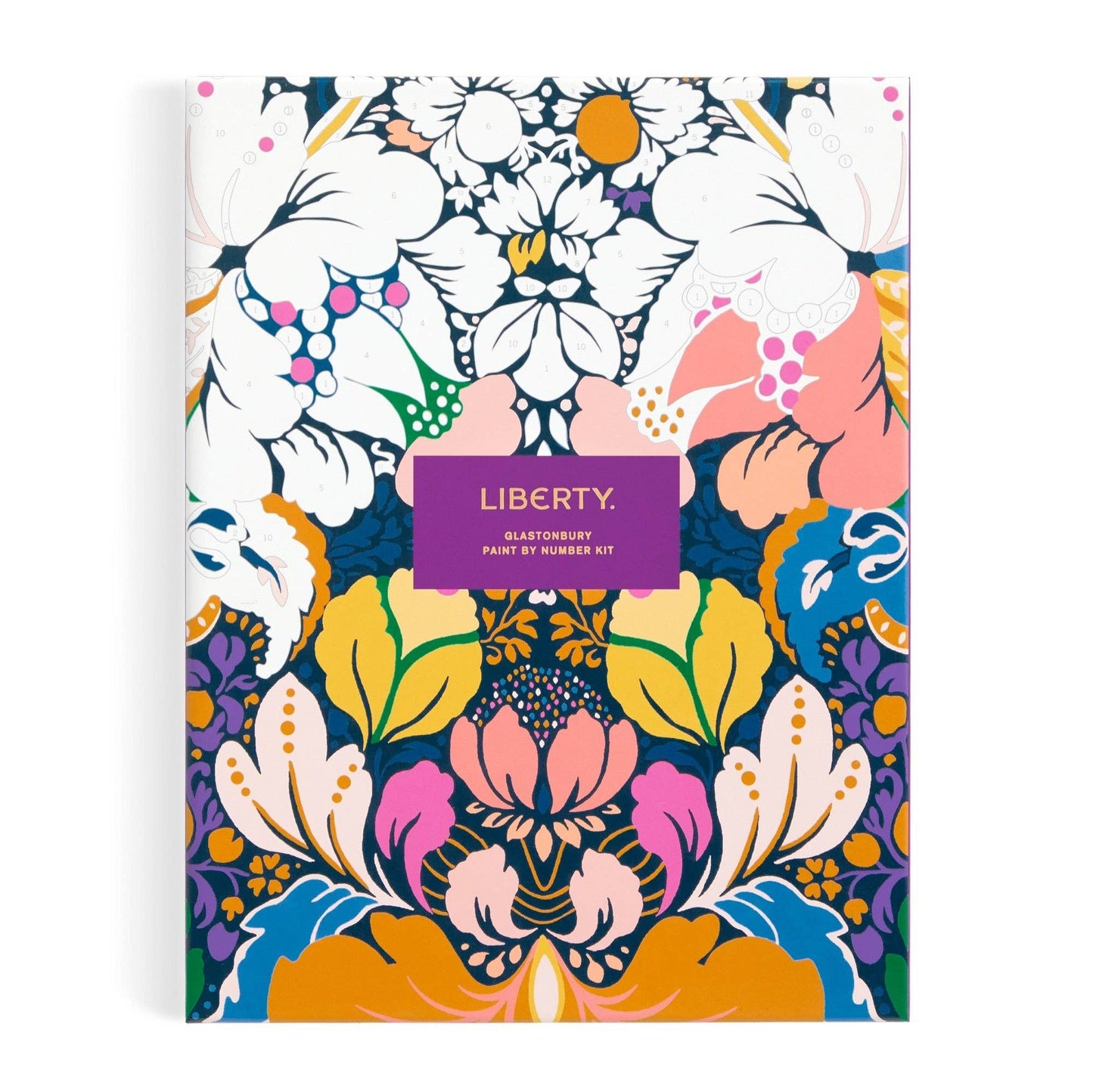 Floral Paint by Number Kit