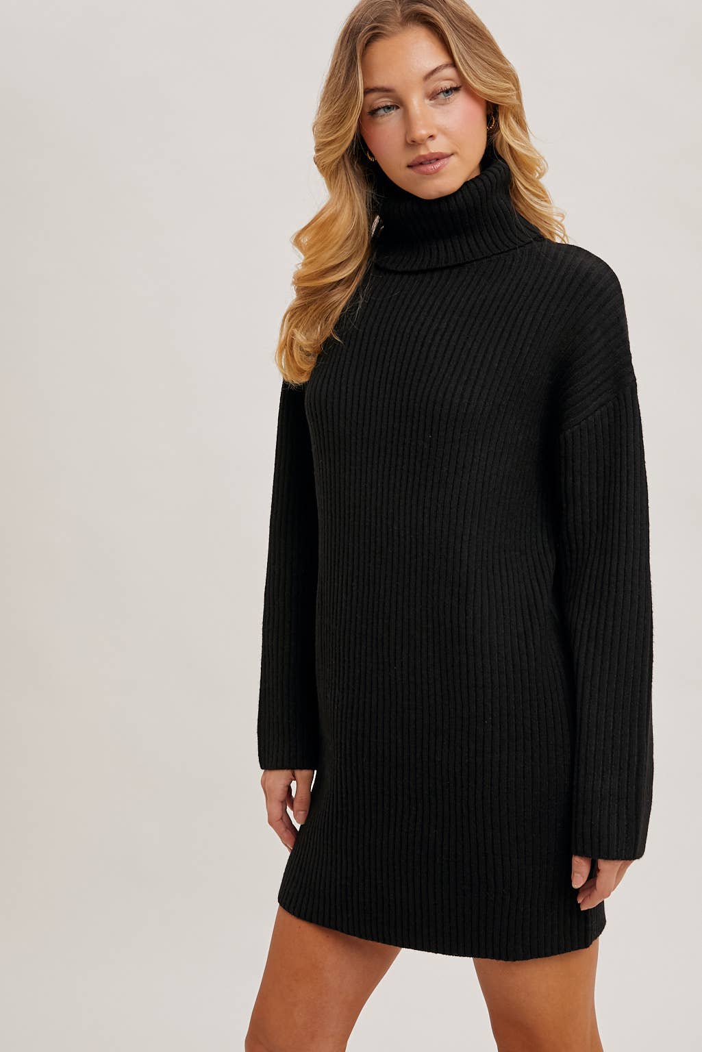 Turtle Neck Sweater Dress