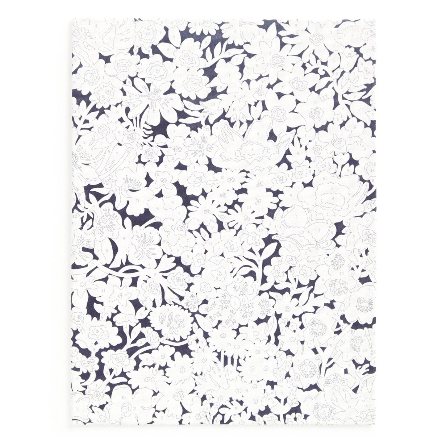 Floral Paint by Number Kit