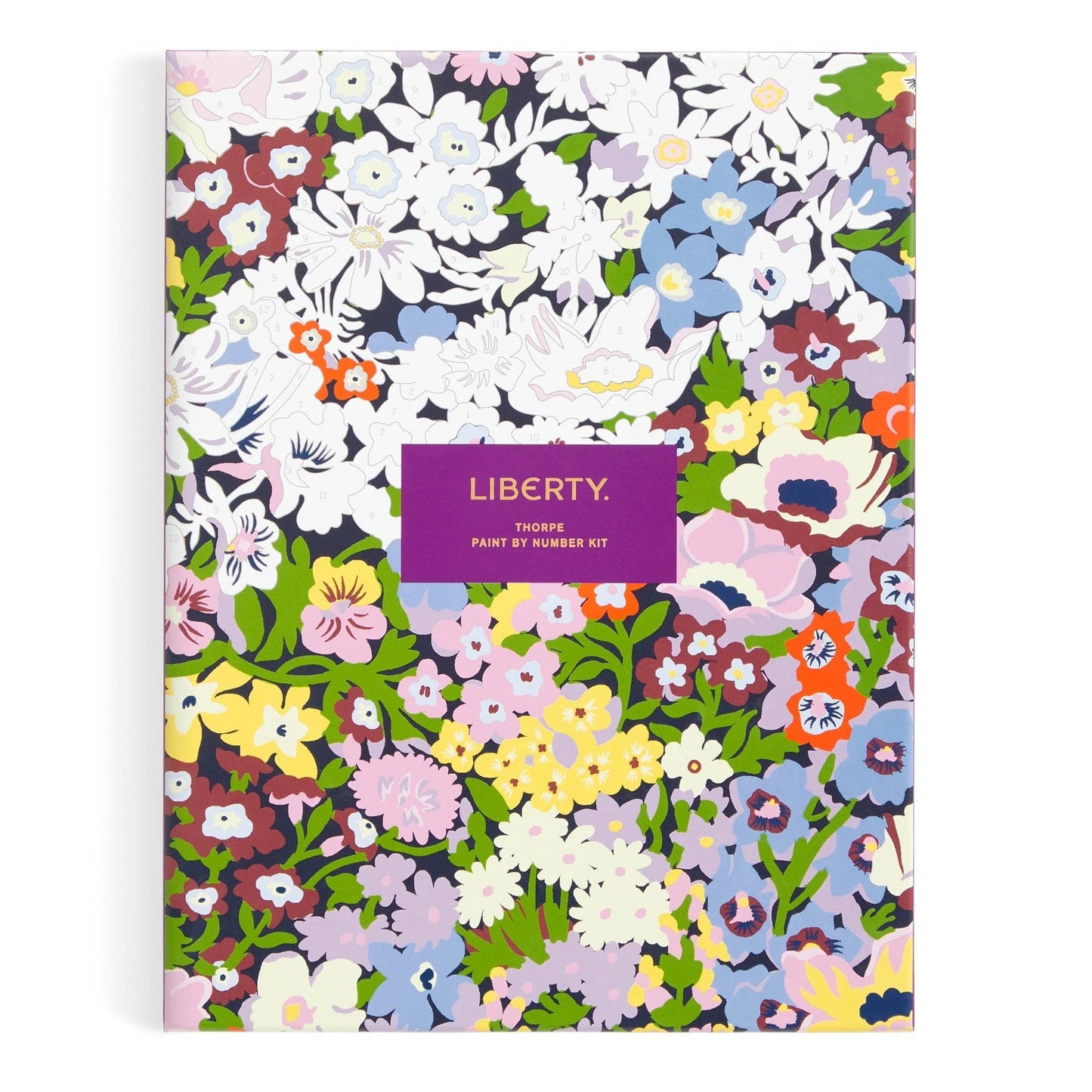 Floral Paint by Number Kit