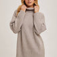 Turtle Neck Sweater Dress